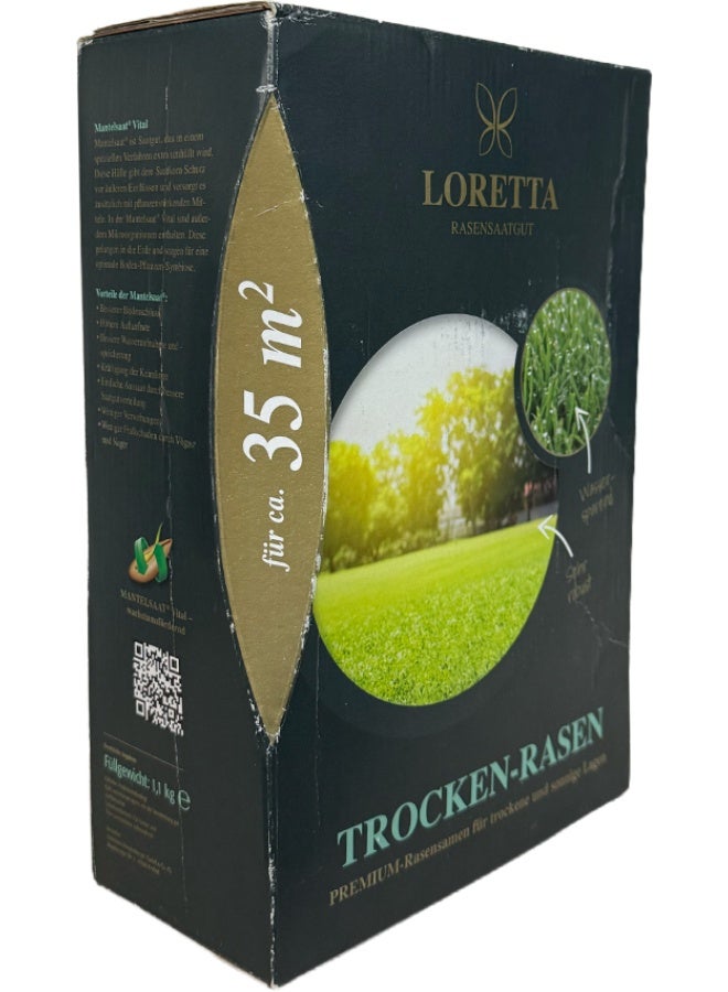 Loretta Drought Resistant Grass Seed Mix 1.1kg - Lawn Seeds for Hot Climate & UAE Weather - Image 2